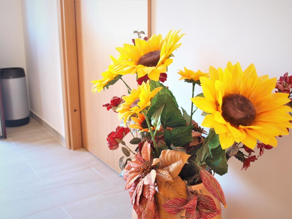 Apartment Rado เวอร์บนิค ภายนอก รูปภาพ